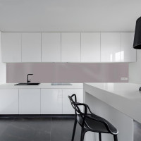 Küchenrückwand Spritzschutz Fliesenspiegel Küche Wandschutz 50x120cm Aluverbund Grau 7042