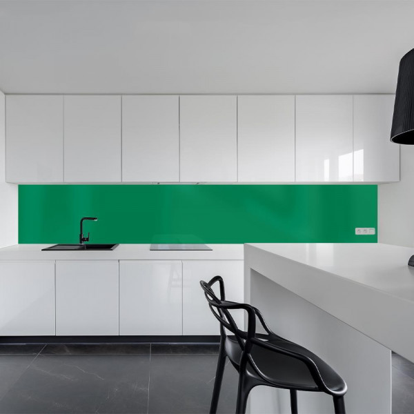 Küchenrückwand Spritzschutz Fliesenspiegel Küche Wandschutz 60x160cm Aluverbund Grün 6024