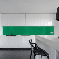 Küchenrückwand Spritzschutz Fliesenspiegel Küche Wandschutz 60x160cm Aluverbund Grün 6024