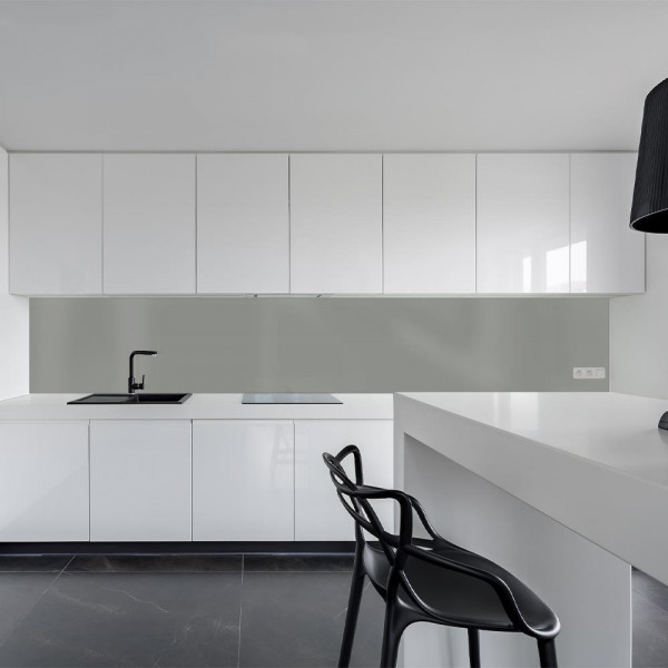 Küchenrückwand Spritzschutz Fliesenspiegel Küche Wandschutz 60x160cm Aluverbund Silber Metallic 9006