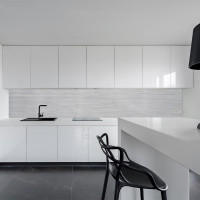 Küchenrückwand Spritzschutz Fliesenspiegel Küche Wandschutz 60x120cm Aluverbund Silber-Gebürstet 001