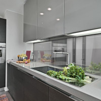 Küchenrückwand Spritzschutz Fliesenspiegel Küche Wandschutz 50x240cm Aluverbund Spiegel