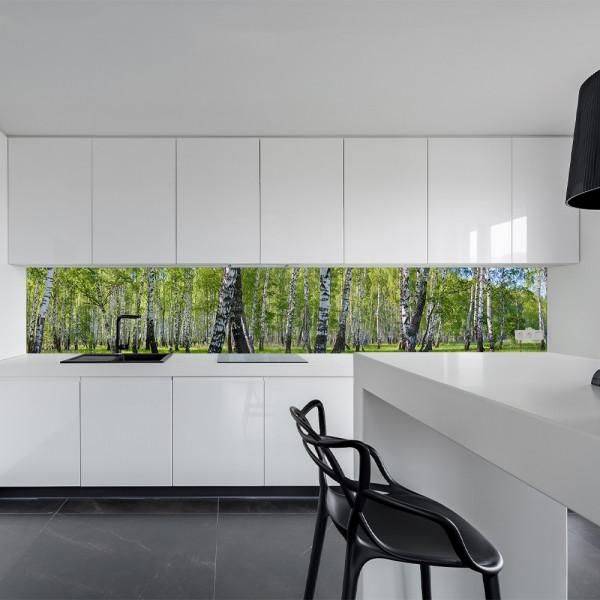 Küchenrückwand aus Aluverbund 3mm  - Birkenwald - 2137