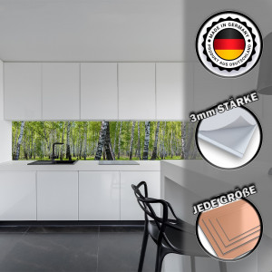 Küchenrückwand aus Aluverbund 3mm  - Birkenwald...