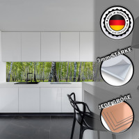 Küchenrückwand aus Aluverbund 3mm  - Birkenwald - 2137