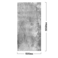 Duschrückwand Aluverbund Alte-Putzwand Grau - 9650 100x205cm glänzend