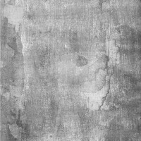 Duschrückwand Aluverbund Alte-Putzwand Grau - 9650 100x205cm glänzend