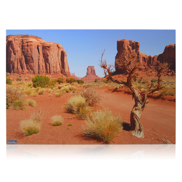 Monument Valley
