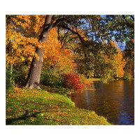 Herbststimmung